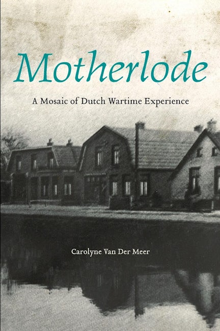 Book cover image for Motherlode ISBN: 9781771120050